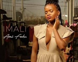 Ami Faku – Imali zip album full download zamusic 300x288 Afro Beat Za 10 300x240 - Ami Faku – Ndivulele (feat. Sun-El Musician)
