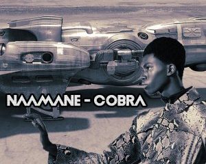 NAAMANE Cobra 300x240 - NAAMANE – Cobra