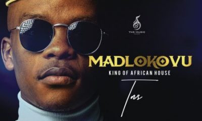 TNS Madlokovu King of African House Album Afro Beat Za 11 400x240 - TNS – Ayabonga (Bonus Track) [ft. Le Soul]