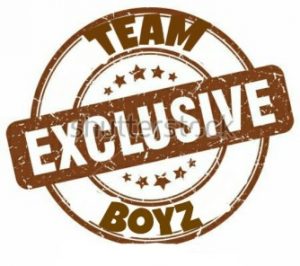 Team Exclusive Boys Jaiva Low 2.0 Mp3 Download 300x266 1 - Team Exclusive Boys – Jaiva Low 2.0 (Vocal Mix)