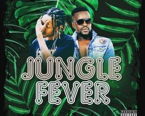 Batondy ft Mellow Don Piccaso Jungle Fever 300x240 - Batondy ft Mellow Don Piccaso – Jungle Fever
