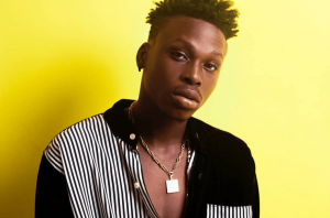 DOWNLOAD Latest Fireboy DML 2019 New Songs Videos Albums and Mixtapes Afro Beat Za 300x198 - DOWNLOAD: All Latest Fireboy DML 2019 &amp; 2020 New Songs, Videos, Albums and Mixtapes