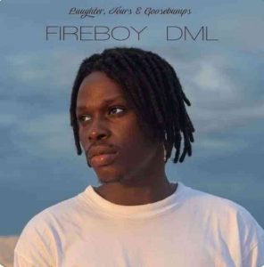 Fireboy DML   Like I Do 26 Afro Beat Za 1 296x300 - Fireboy DML – Gbas Gbos