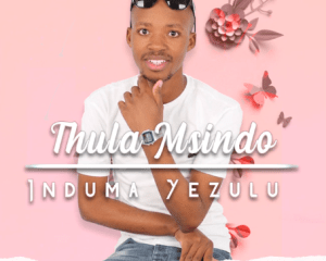 Thula Msindo – Theli Nduku Thula png 1 Afro Beat Za 300x240 - Thula Msindo – Umsindisi Wam