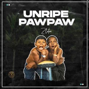 Zlatan Unripe Pawpaw Afro Beat Za 300x300 - Zlatan – Unripe Pawpaw ft. PapiSnoop, Oberz, JamoPyper
