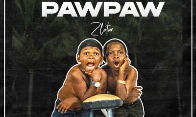 Zlatan Unripe Pawpaw Afro Beat Za 400x240 - Zlatan – Unripe Pawpaw ft. PapiSnoop, Oberz, JamoPyper