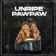 Zlatan Unripe Pawpaw Afro Beat Za 80x80 - Zlatan – Unripe Pawpaw ft. PapiSnoop, Oberz, JamoPyper
