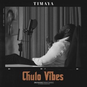 timaya pull up ft burna boy Afro Beat Za 1 300x300 - Timaya – Number One Ft. Alikiba
