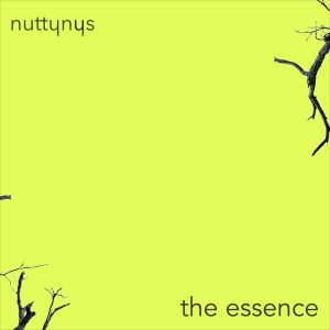 Nutty Nys The Essence - Nutty Nys – The Essence