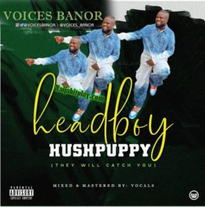 PicsArt 1592136270277 296x300 Afro Beat Za - Voices Banor – Headboy Hushpuppy (They Will Catch You)