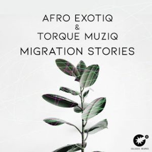 Afro Exotiq TorQue MuziQ – Migration Stories 300x300 - Afro Exotiq &amp; TorQue MuziQ – Migration Stories