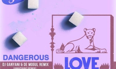 Dangerous Love Amapiano Remix artwork Afro Beat Za 400x240 - Tiwa Savage – Dangerous Love (Amapiano Remix) ft. DJ Ganyani, De Mogul SA