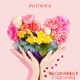 Phonika We Can Make It Original Mix 80x80 - Phonika – We Can Make It (Original Mix)
