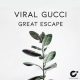 Viral Gucci Great Escape 80x80 - Viral Gucci – Great Escape