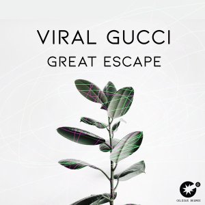 Viral Gucci Great Escape - Viral Gucci – Great Escape