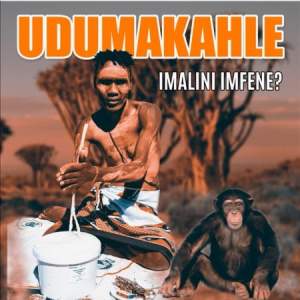 Dumakahle – Angimazi Ubaba Wengane - Dumakahle – Uthando Lwakudala (Instrumental)