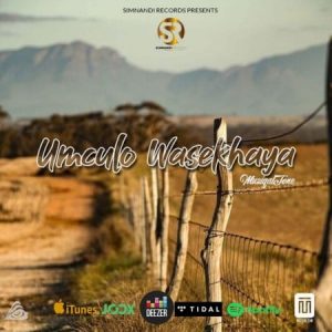 Muziqal Tone – Tech Ntonyana Tech Mix 300x300 - Muziqal Tone – Ihlaya Nguwe Ft. Nobantu Vilakazi