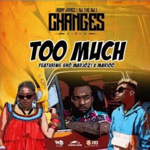 too much Afro Beat Za 300x300 - RJ The DJ – Too Much ft. Sho Madjozi & Marioo