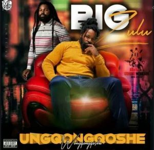 Big Zulu – Vuma Dlozi Ft. Mnqobi Yazo 300x293 - Latest Big Zulu 2021 New Songs, Videos, Albums & Mixtapes