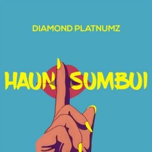 Diamond Platnumz – Haunisumbui - Diamond Platnumz – Haunisumbui