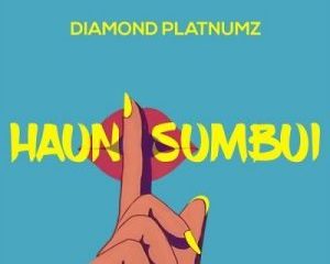 Diamond Platnumz – Haunisumbui 300x240 - Diamond Platnumz – Haunisumbui