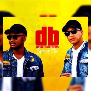 Dvine Brothers – Spring Mix 2020 - Dvine Brothers – Spring Mix 2020
