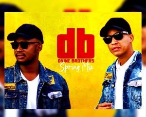 Dvine Brothers – Spring Mix 2020 300x240 - Dvine Brothers – Spring Mix 2020