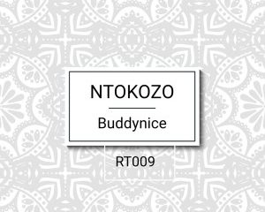 Buddynice – Ntokozo Redemial Mix Hiphopza 300x240 - Buddynice – Ntokozo (Redemial Mix)