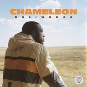 Daliwonga 300x300 - ALBUM: Daliwonga Chameleon