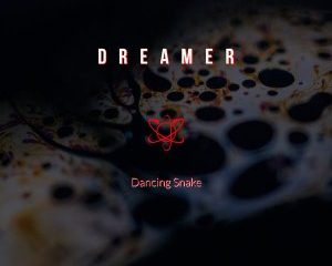 Dreamer – Dancing Snake Original Mix Hiphopza 300x240 - Dreamer – Dancing Snake (Original Mix)