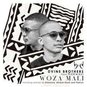 Dvine Brothers Nokwazi 300x300 - Dvine Brothers &amp; Nokwazi – Woza Mali (Afrikan Roots Chuba Cabra Remix)