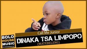 Call Me Junior – Dinaka tsa Limpopo Matebeleng hiphopza 300x169 - Call Me Junior – Dinaka tsa Limpopo (Matebeleng)