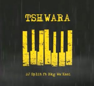 DJ Split Tshwara Ft. Bkg WaKasi 300x275 - DJ Split – Tshwara Ft. Bkg Wa’Kasi