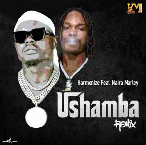 Harmonize – Ushamba Remix Ft. Naira Marley Hiphopza 300x298 - Harmonize – Ushamba (Remix) Ft. Naira Marley