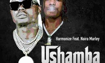 Harmonize – Ushamba Remix Ft. Naira Marley Hiphopza 400x240 - Harmonize – Ushamba (Remix) Ft. Naira Marley