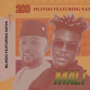 Mlindo The Vocalist – Mali Ft. Nathi Hiphopza 300x300 - Mlindo The Vocalist – Mali Ft. Nathi