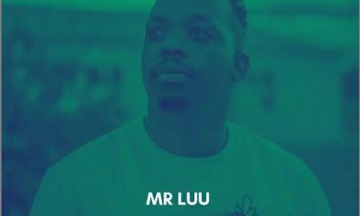 Mr Luu – In The End Hiphopza 400x240 - Mr Luu – In The End