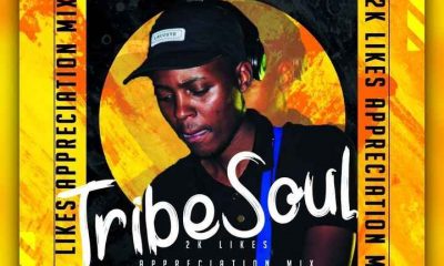 TribeSoul – 2K Appreciation Mixtape Hiphopza 400x240 - TribeSoul – 2K Appreciation Mixtape