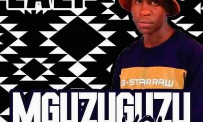 LAZI – MGUZUGUZU Vol 3 Mix Hiphopza 400x240 - LAZI – MGUZUGUZU Vol 3 Mix