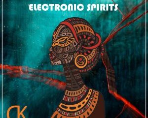 Laerhnzo TooZee – Electronic Spirits Original Mix Hiphopza 300x240 - Laerhnzo & TooZee – Electronic Spirits (Original Mix)