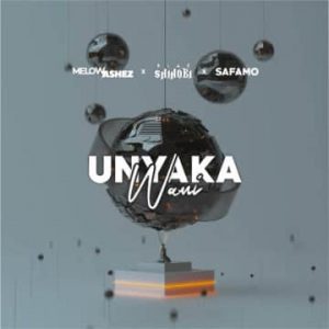 unyaka wami artwork scaled fakazadownload 300x300 - Melow Ashez – Unyaka wami ft. Blaqshinobi &amp; Safamo