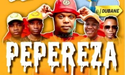 Beast – Pepereza Ft. DJ Tira Reece Madlisa Zuma Busta 929 Hiphopza 400x240 - Beast – Pepereza Ft. DJ Tira, Reece Madlisa, Zuma, Busta 929