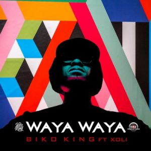 Biko King – Waya Waya Ft. Xoli Hiphopza 300x300 - Biko King – Waya Waya Ft. Xoli