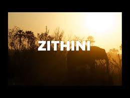 Mr Jazziq Lady Du Zuma Busta 929 – Zithini Prod. FIBBS Hiphopza - Mr Jazziq, Lady Du, Zuma &amp; Busta 929 – Zithini (Prod. FIBBS)