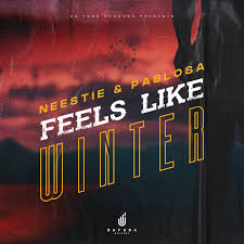 Neestie PabloSA – Feels Like Winter Afro Mix Hiphopza - Neestie & PabloSA – Feels Like Winter (Afro Mix)