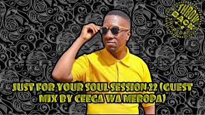Ceega Wa Meropa – Just For Your Soul Session 22 Guest Mix Hiphoza - Ceega Wa Meropa – Just For Your Soul Session 22 (Guest Mix)