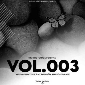 Djay Tazino – The True Toppie Expereince Vol.003 Mix Hiphopza 300x300 - Djay Tazino – The True Toppie Expereince Vol.003 Mix