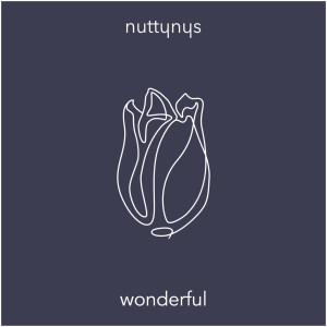 Nutty Nys – Wonderful Original Mix Hiphopza - Nutty Nys – Wonderful (Original Mix)
