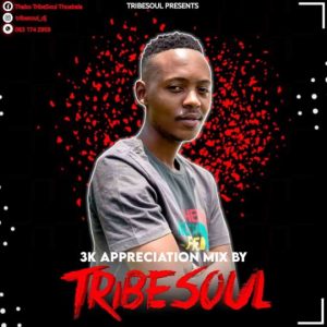 TribeSoul – 3K Appreciation Mix Hiphopza 300x300 - TribeSoul – 3K Appreciation Mix