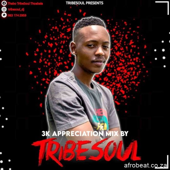 TribeSoul – 3K Appreciation Mix Hiphopza - TribeSoul – 3K Appreciation Mix